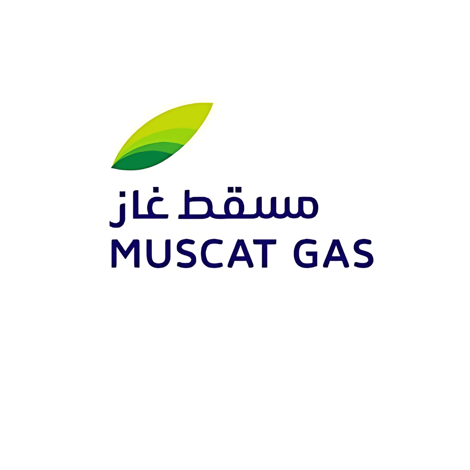 IT Professional Services