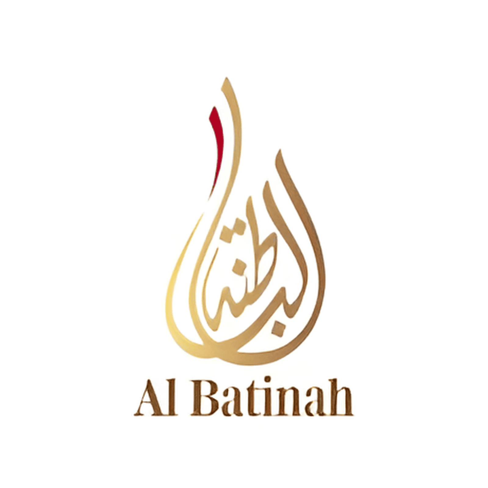 IT Professional Services