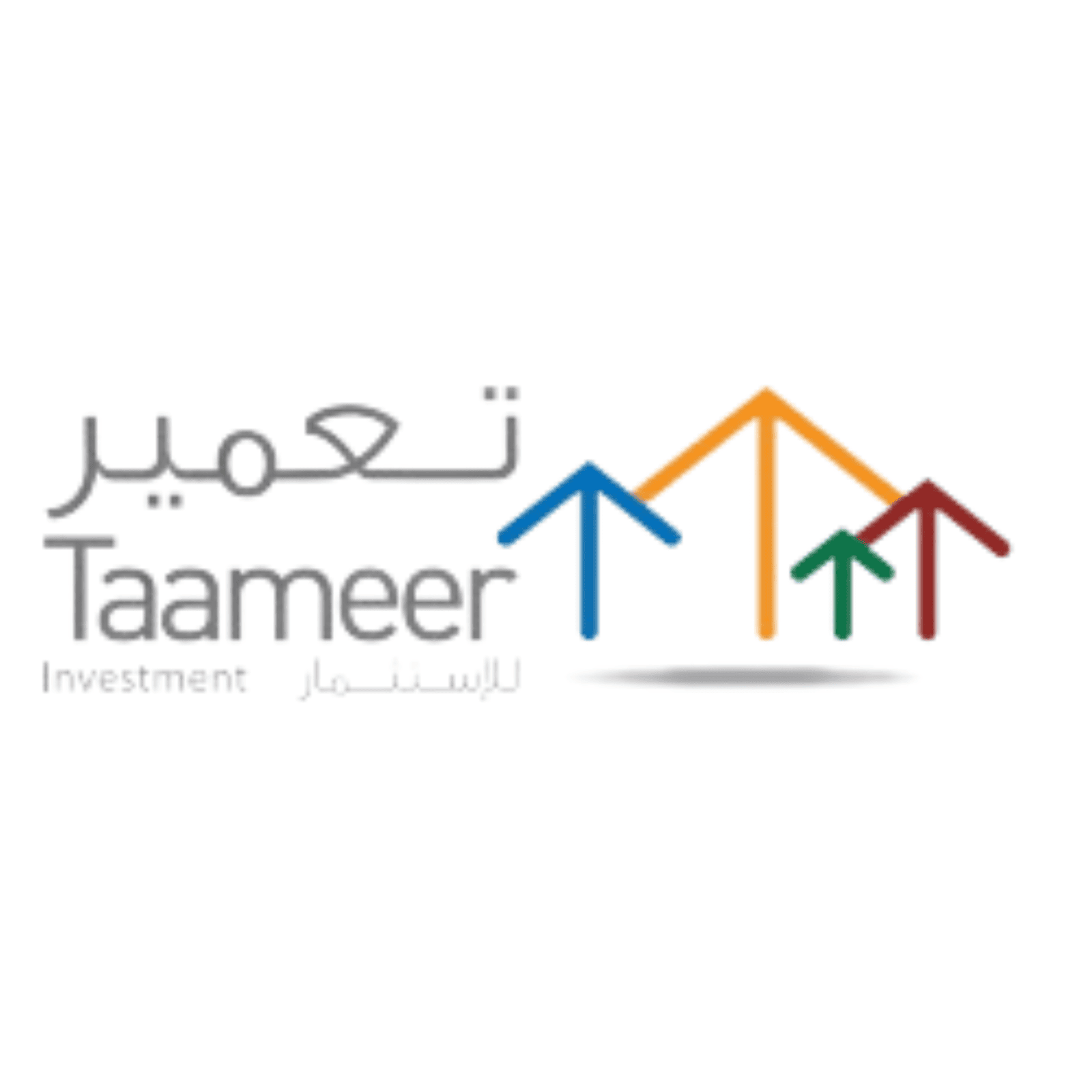 IT Professional Services